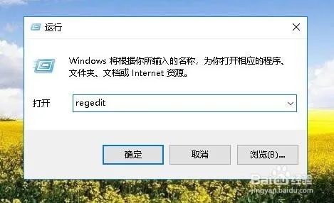 d2b5ca33bd20250515031441